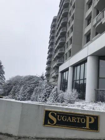 Beary Loveable SugarTop