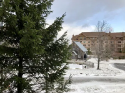 Stratton 1 Bedroom Long Trail Condo, Walk to Village and Lifts Hotels in Stratton Mountain
