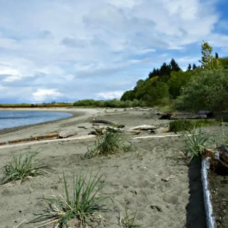 Simple Living at Luxurious, Modern Farmhouse on Bainbridge Island. Dogs ok.