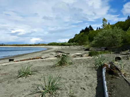 Simple Living at Luxurious, Modern Farmhouse on Bainbridge Island. Dogs ok.