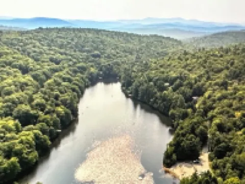 Whispering Pines - Your Stylish Nature Retreat
