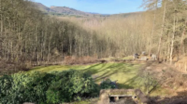 Villa Warzenburg, apartment 2 with panoramic view, balcony and fireplace. Vacation with a dog.