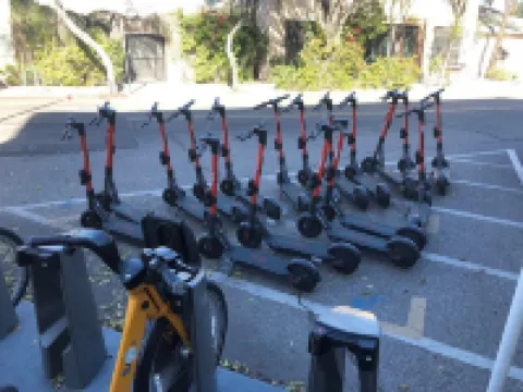 Space Jungle Studio with Free Parking, King Bed walk to UofA, Nightlife and Food