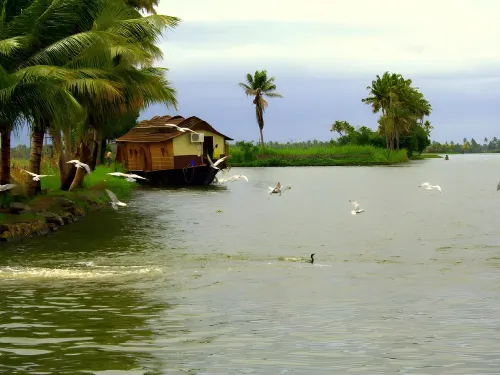 Sunny Days Homestay Alleppey