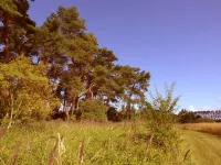 House Dina Ahrenshoop Hotels in Ahrenshoop