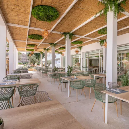 MarSenses Rosa del Mar Hotel & Spa