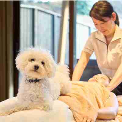 Dear Wan Spa Garden Fitness & Recreational Facilities