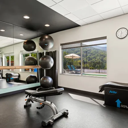 Tru by Hilton Asheville Blue Ridge Parkway