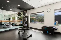 Tru by Hilton Asheville Blue Ridge Parkway Hotels in Swannanoa