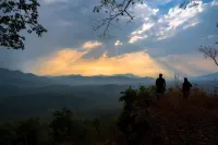 Nature Nirvana