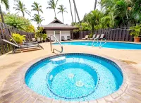 Newly Remodeled Tropical Resort