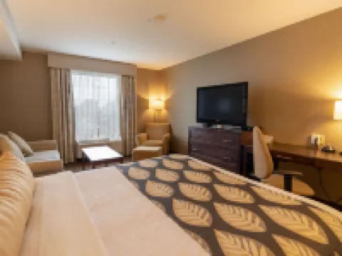 薩斯喀徹温堡卡納達酒店 薩斯喀徹温堡酒店