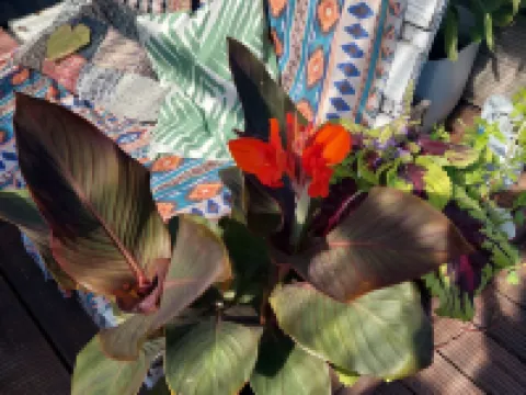 Looming Hostel Hoteles en Tartu