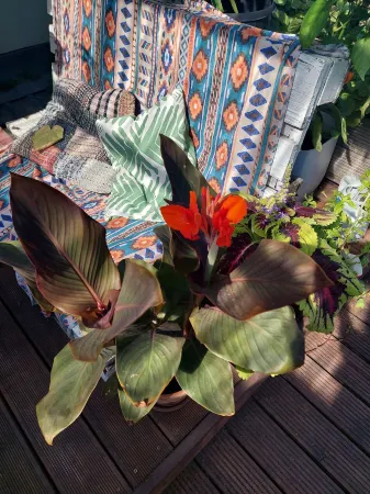 Looming Hostel Отели рядом с достопримечательностью «Тартуский университет»