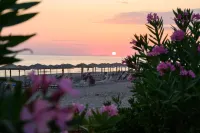Ninos Grand Beach Hotel & Resort - Beach