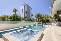 Verve on Cotton Tree