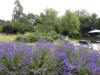 Stoneleigh Barn Bed and Breakfast Hotels in Sherborne