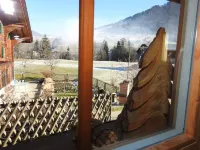 Alpenchalet Weidhaus Gstaad - Mountain view