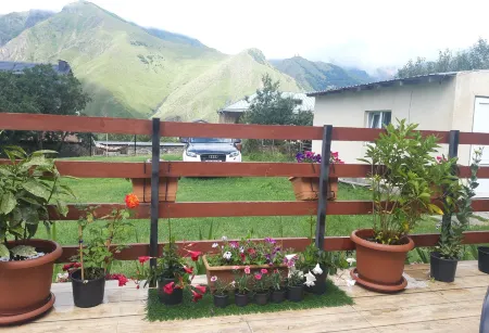 Guest House Elguja Qushashvili Отели в г. Степанцминда