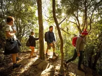 Mt Warning Rainforest Park Hotels in Murwillumbah