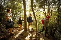Mt Warning Rainforest Park