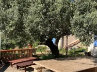 Charming country house in the Provencal countryside among vineyards and olive trees Hotele w: Cotignac