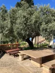 Charming country house in the Provencal countryside among vineyards and olive trees