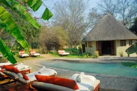Divava Okavango Resort & Spa - bar