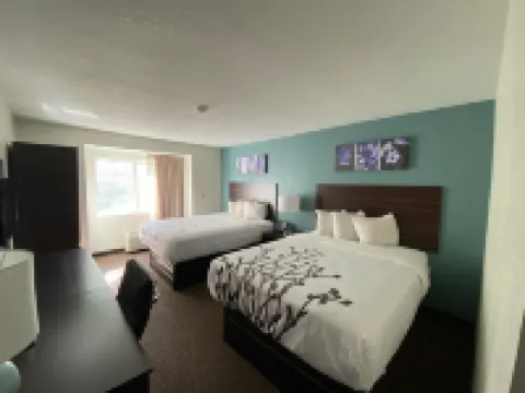 Sleep Inn Jacksonville Airport Hotels near Riverview Park