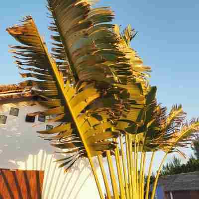 Hotel Ecolodge Riake Resort & Villa Hotel Exterior