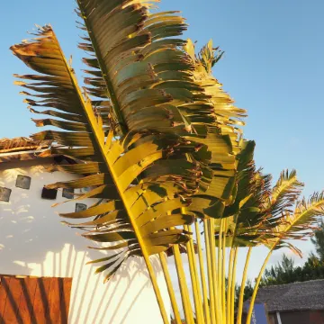 Hotel Ecolodge Riake Resort & Villa