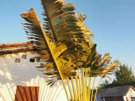 Hotel Ecolodge Riake Resort & Villa