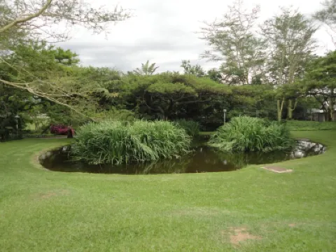 Ascot Inn Hotels near KZN National Botanical Garden (PMB)