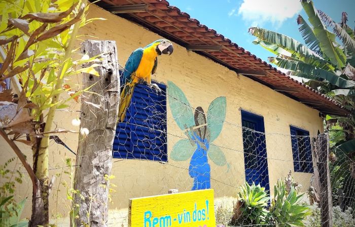 Portal Das Fadas - Hospedagem