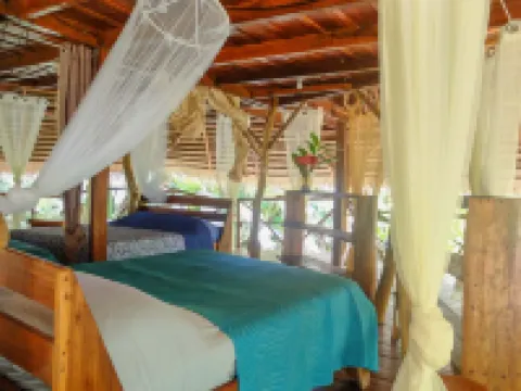 莫阿比山林小屋