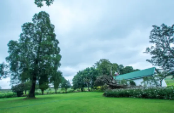 Hoyohoyo Machadostud Lodge