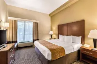 Comfort Suites Columbia Gateway Hotels in Howard County