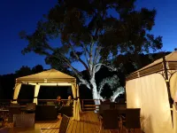 Maison d'Hôtes Zella Hotels in Albitreccia