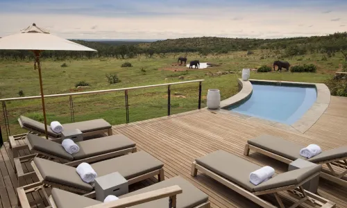 Mhondoro Safari Lodge & Villa