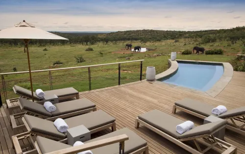 Mhondoro Safari Lodge & Villa Hotels in Lephalale Local Municipality