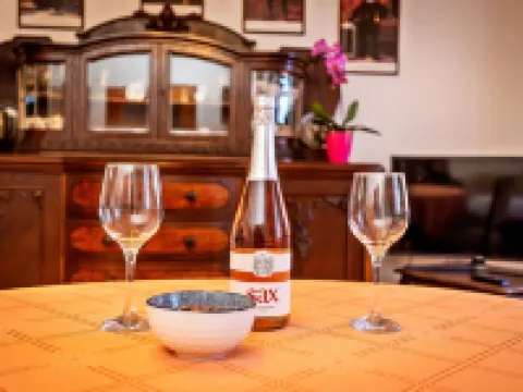 懷舊旅館 克魯姆洛夫酒店