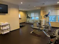 TownePlace Suites Laconia Gilford - Gym
