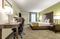 Quality Inn & Suites Creedmoor - Butner - Fitnessstudio