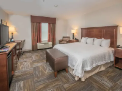 Hampton Inn & Suites Selma-San Antonio-Randolph AFB Texas Hotels in Selma