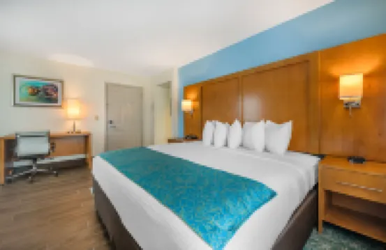 熱帶風度假酒店