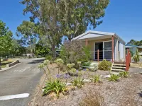 Albany Holiday Park Hotel di Albany