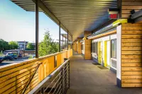 The Lark Hotels in Bozeman