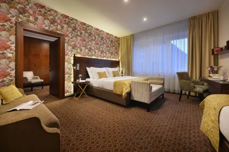 Vysocina Design Apartments Отели в г. Свратка