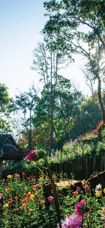 รูปภาพของดอยตุง ลอดจ์