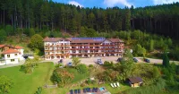 Landhotel Basler Hof Hotels in Schenkenzell